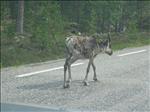 Sweden 2006-07 030